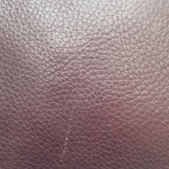 Coach Crossbody Tote - Picture 6 of 6